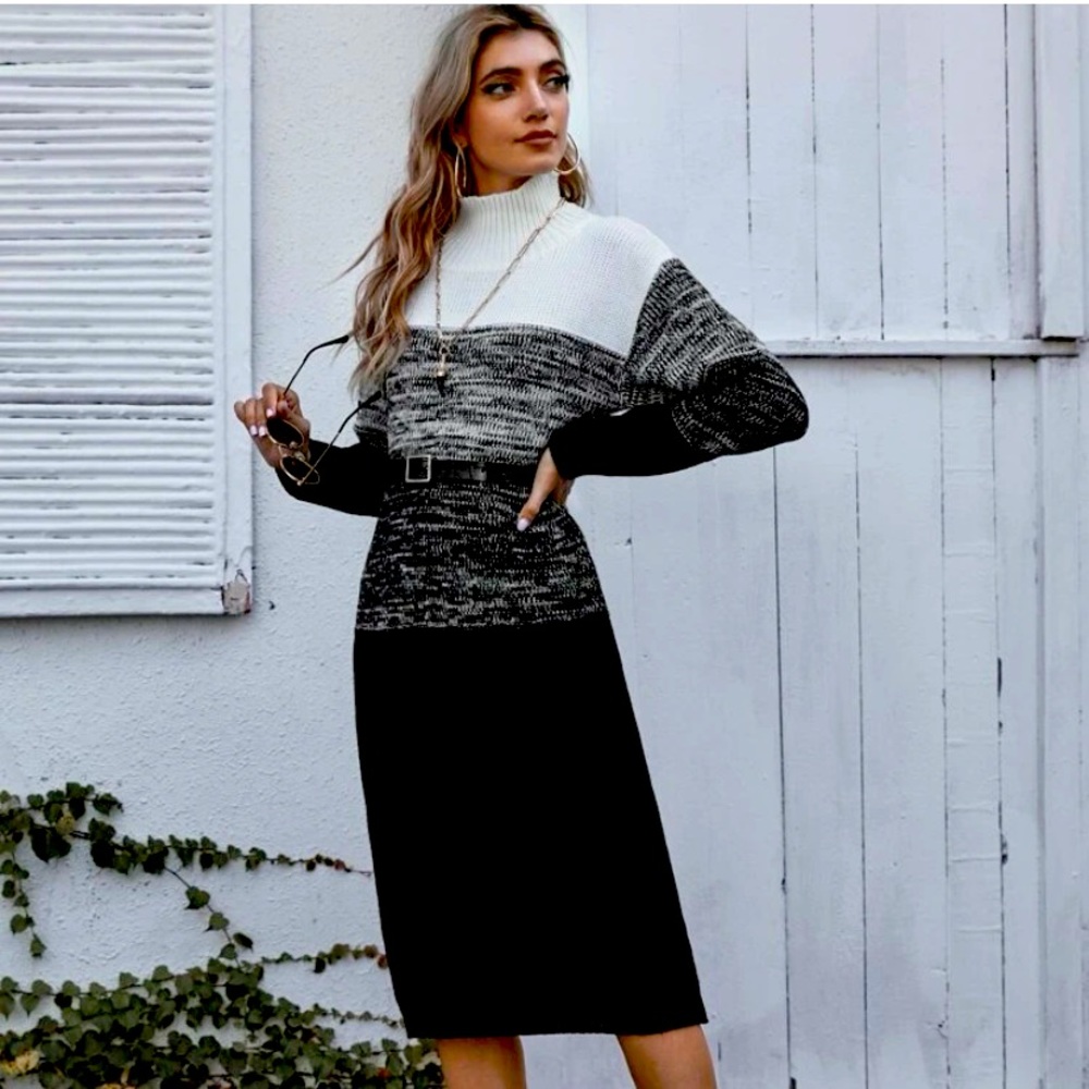 SHEIN High-Neck Color-block sweater dress size Large (8/10) Belt not included